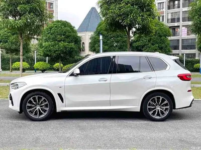 2019 BMW X5 (Import) xDrive40i M Sport Package, фото 3, лот 10464051