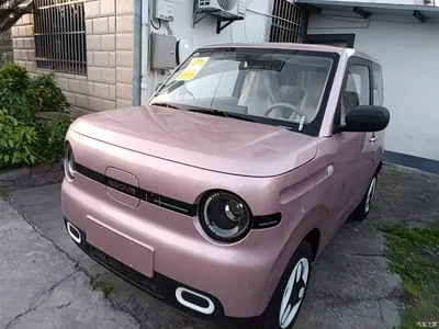 2025 Geely Galaxy Panda mini 210km Vitality Bear, фото 1, лот 10433744