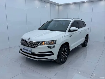 2021 Škoda Karoq TSI280 Luxury Edition, фото 1, лот 10349090