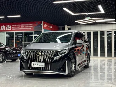 2021 GAC Trumpchi Trumpchi M8 Master Series 390T 4-Seat Premium Edition, фото 3, лот 10417854