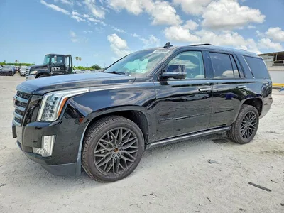 2019 CADILLAC ESCALADE PREMIUM LUXURY, фото 1, лот 10767336