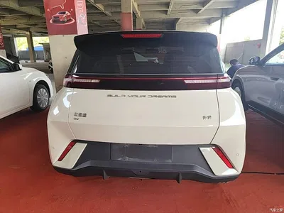 2023 BYD Seagull Freedom Edition, фото 4, лот 10262857