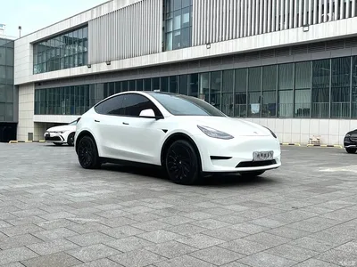 2022 Tesla Model Y Rear-Wheel Drive Version, фото 4, лот 10400967