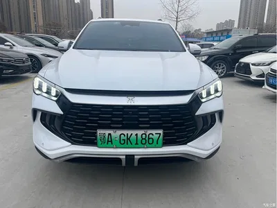 2023 BYD Song Pro New Energy Champion Edition DM-i 71KM Pilot Model, фото 1, лот 10273281