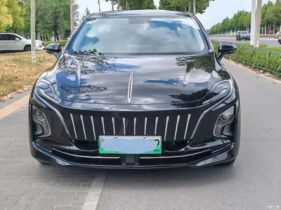 2023 Hongqi E-QM5 Facelift Basic Travel Edition, фото 2, лот 11191489
