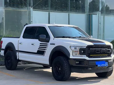 2019 Ford F-150 Raptor 3.5T LTD, фото 3, лот 10299279