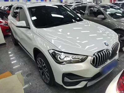 2020 BMW X1 xDrive25Li Premium Edition, фото 4, лот 10467820