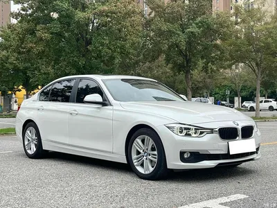 2017 BMW 3 Series 320Li Fashion, фото 3, лот 11194747