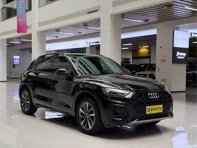 2024 Audi Q5L Model 40 TFSI Luxury Dynamic, фото 3, лот 11449845