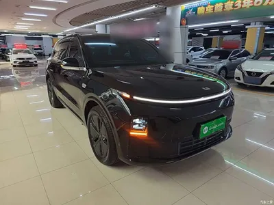 2024 Li Auto L6 Pro, фото 4, лот 10804159