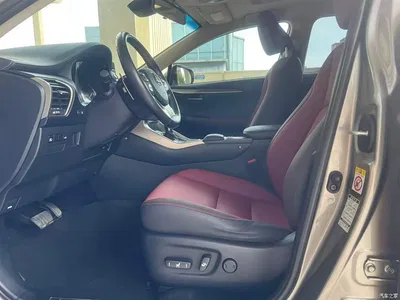 2018 Lexus NX Model 300h FWD Fengshang Edition China V, фото 4, лот 10616119