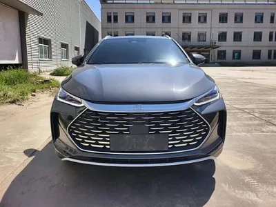 2024 Byd Tang, фото 2, лот 10247456