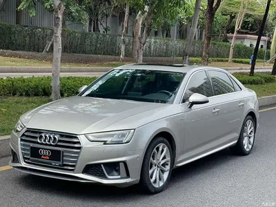 2019 Audi A4L 40 TFSI Fashion (China VI), фото 1, лот 10438939