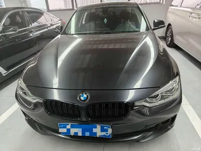 2018 BMW 3 Series 320Li xDrive Fashion Style, фото 2, лот 11548913