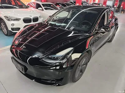 2021 Tesla Model 3 Standard Range Rear-Wheel Drive Upgrade 3D6, фото 1, лот 10476510