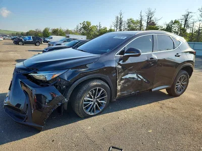 2025 LEXUS NX 350 BASE, фото 1, лот 10900394