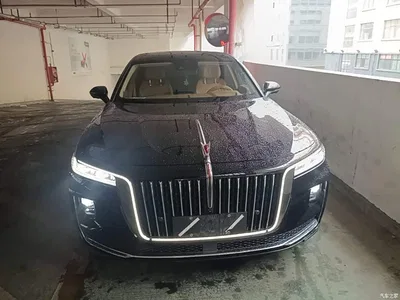 2020 Hongqi H9 2.0T Smart Connection Qi Chang Edition, фото 3, лот 11247499