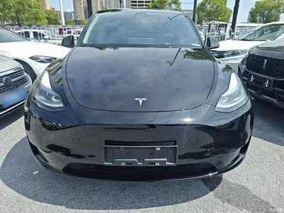 2022 Tesla Model Y Rear-Wheel Drive Version, фото 3, лот 10370261