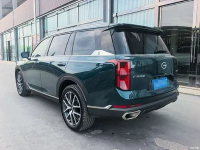 2022 GAC Trumpchi Trumpchi GS8 Pilot Series 2.0TGDI 2WD Luxury Smart Connect Edition (7-Seater), фото 4, лот 10416567