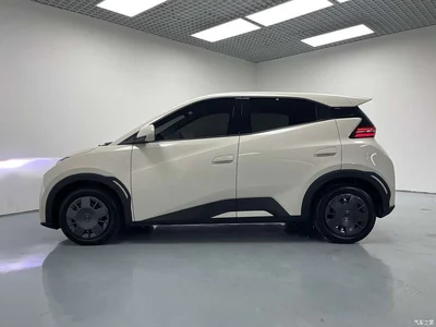 2025 Byd Seagull, фото 4, лот 10243920