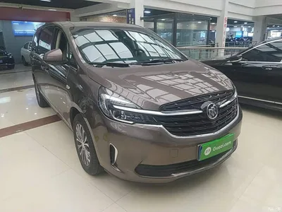 2022 Buick GL8 Land Business Class 652T Luxury, фото 4, лот 10674782