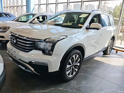 2017 GAC Trumpchi Trumpchi GS8 320T 2WD Luxury Smart Connect (7-seater), фото 1, лот 10423244