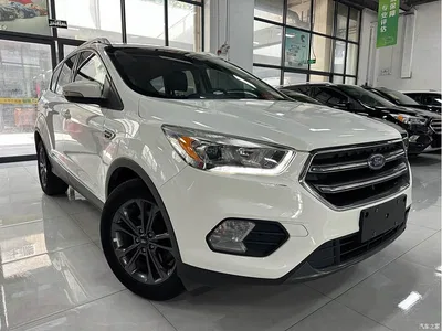 2019 Ford Kuga EcoBoost 180 2WD Platinum Wing Edition China VI, фото 2, лот 10293541