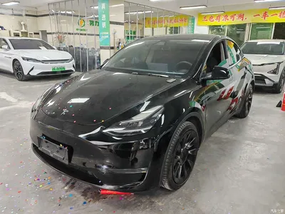 2021 Tesla Model Y Standard Range Rear-Wheel Drive, фото 1, лот 10452621