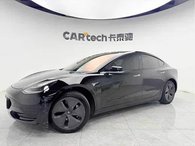2020 Tesla Model 3 Standard Range Rear-Wheel Drive Upgrade, фото 1, лот 10366554