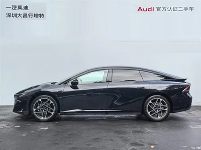 2024 XPeng P7+ Long Range Max, фото 4, лот 10374954