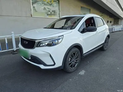 2021 Geely Vision X3 PRO 1.5L CVT Premium, фото 1, лот 10476023