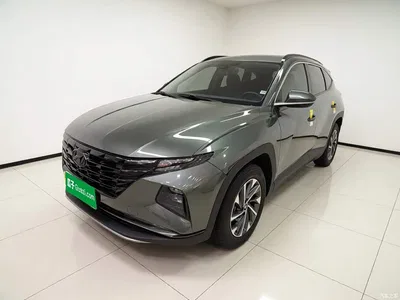 2022 Hyundai Tucson L 2.0L Hybrid Flagship, фото 1, лот 10376530