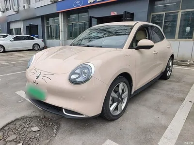 2023 Ora Good Cat 401km Standard Range Honor Edition (LFP), фото 2, лот 11016953