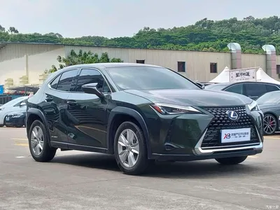 2020 Lexus UX 260h Explore Cool Edition China V, фото 3, лот 10899571