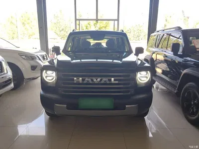 2024 Haval Meng Long NEV Hi4 145 Cross-country Edition, фото 3, лот 11199122