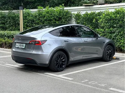 2024 Tesla Model Y Rear-Wheel Drive Version, фото 4, лот 10894028