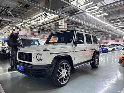 2020 Mercedes-Benz G-Class G 350, фото 1, лот 10247167