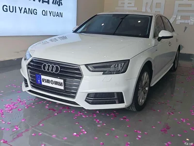 2019 Audi A4L 40 TFSI Progressive (China VI), фото 1, лот 10237015