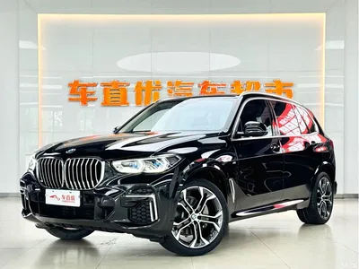 2022 BMW X5 xDrive 30Li Premium M Sport Package, фото 1, лот 11012190