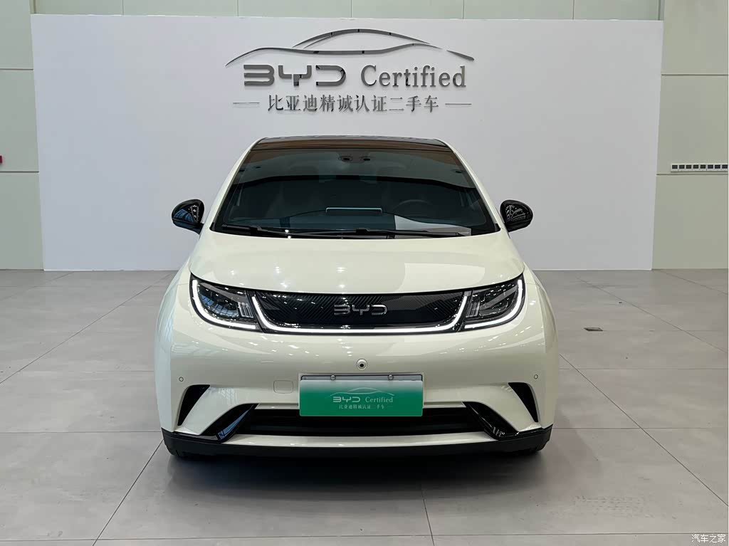 2024 BYD Dolphin Glory Edition 420km Fashion Edition, фото 2, лот 11223046