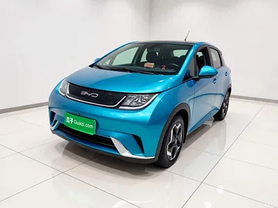 2021 BYD Dolphin Model 405km Fashion Edition, фото 2, лот 11476253