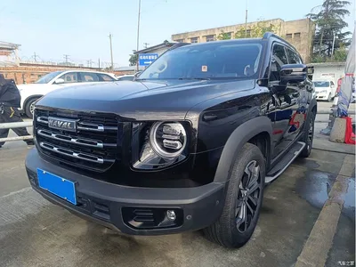 2021 Haval Big Dog 1.5T DCT 2WD Border Collie Edition, фото 1, лот 11098550