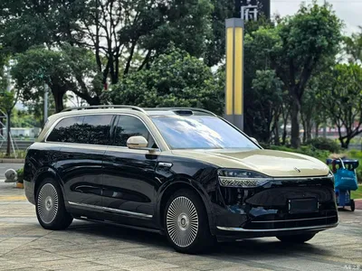 2024 AITO Wenjie AITO M9 Extended Range Max 42kWh 5-seater, фото 3, лот 11446850
