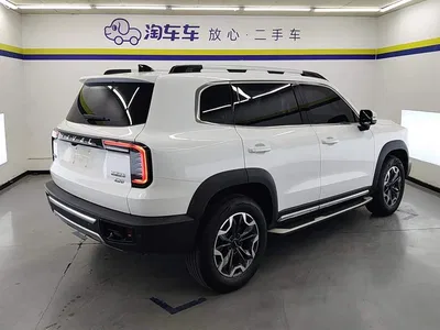2021 Haval Big Dog 2.0T DCT 4WD Chinese Rural Dog Edition, фото 3, лот 10625818