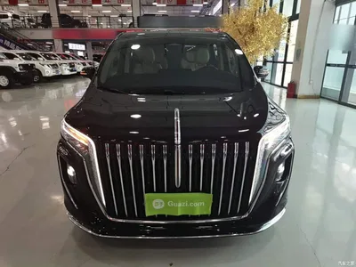 2023 Hongqi HQ9 2.0T Smart Connect Flagship, фото 3, лот 10289500