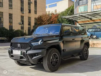2023 Mengshi 917 Extended Range Base Version, фото 1, лот 11645967