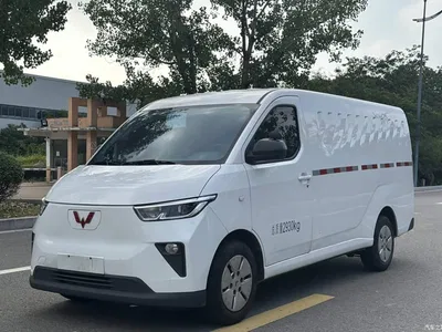 2024 Wuling Motors Wuling Yangguang 300km Comfort Enclosed Van 60kW, фото 2, лот 11152118