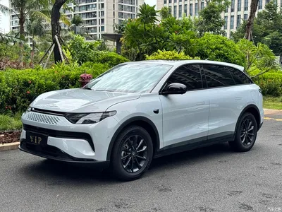 2024 Leapmotor C11 Extended Range 300 Smart Edition, фото 1, лот 10314714