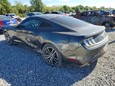 2016 FORD MUSTANG, фото 2, лот 10559062
