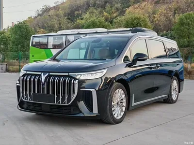 2022 Voyah Auto Voyah Dreamer Low-carbon Edition Think+Smart Driving Package, фото 1, лот 11583806